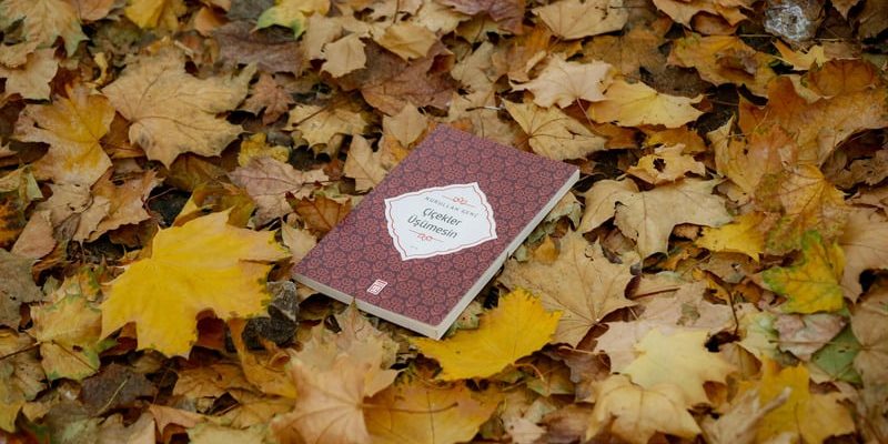 Erfahrung mit Masterarbeit Ghostwriting